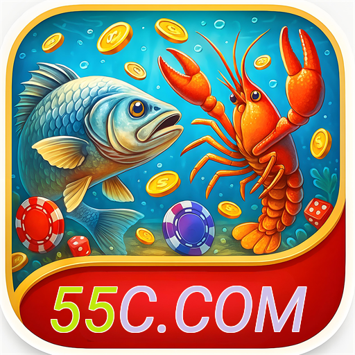 55C.COM